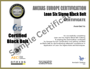 lean six sigma black black belt sample certificate